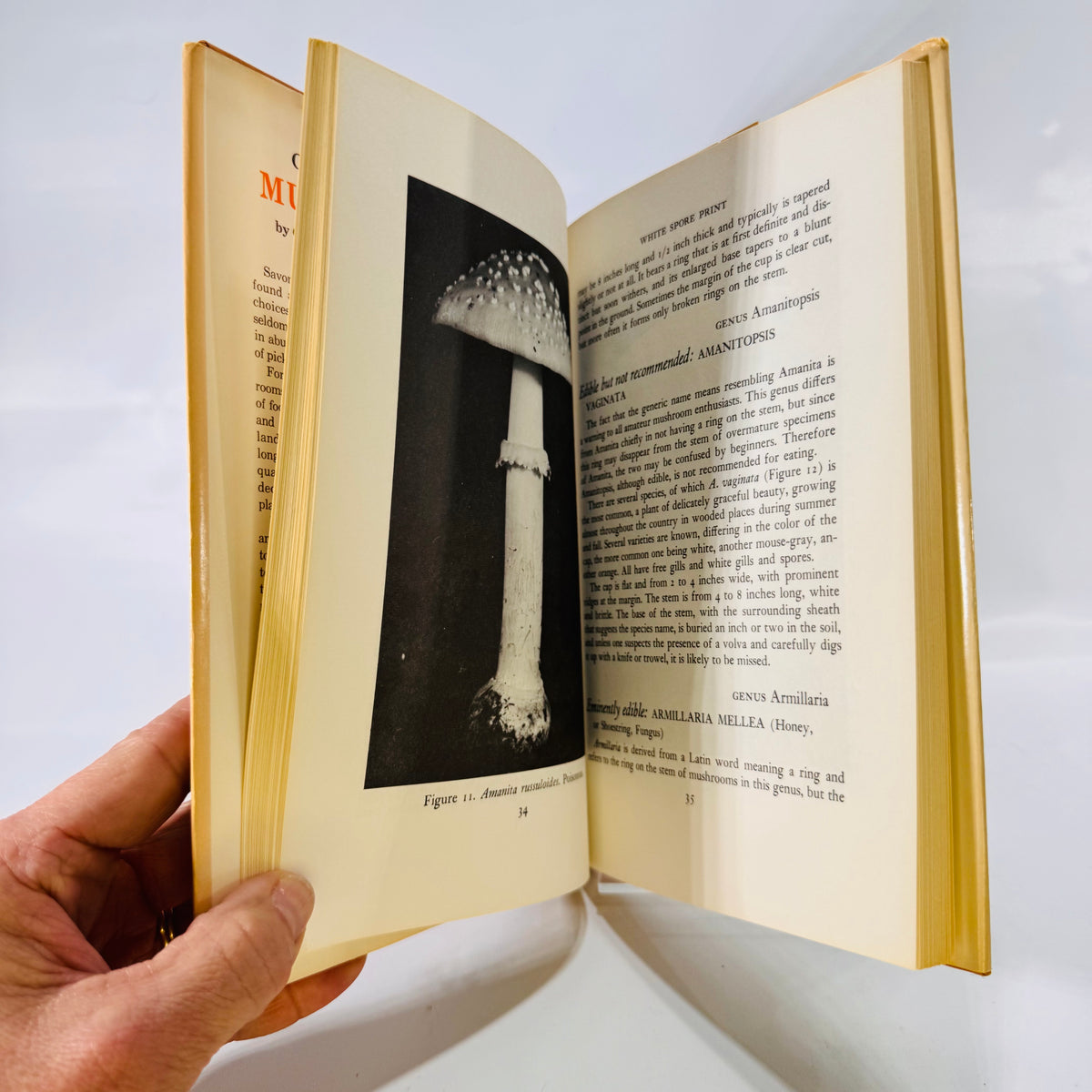 Common Edible Mushrooms by Clyde M. Christensen (1943), The University of Minnesota Press, Hardcover with Dust Jacket