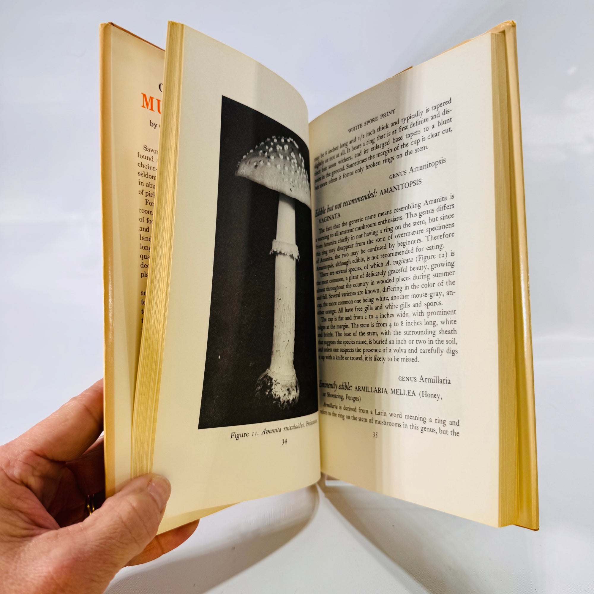 Common Edible Mushrooms by Clyde M. Christensen (1943), The University of Minnesota Press, Hardcover with Dust Jacket