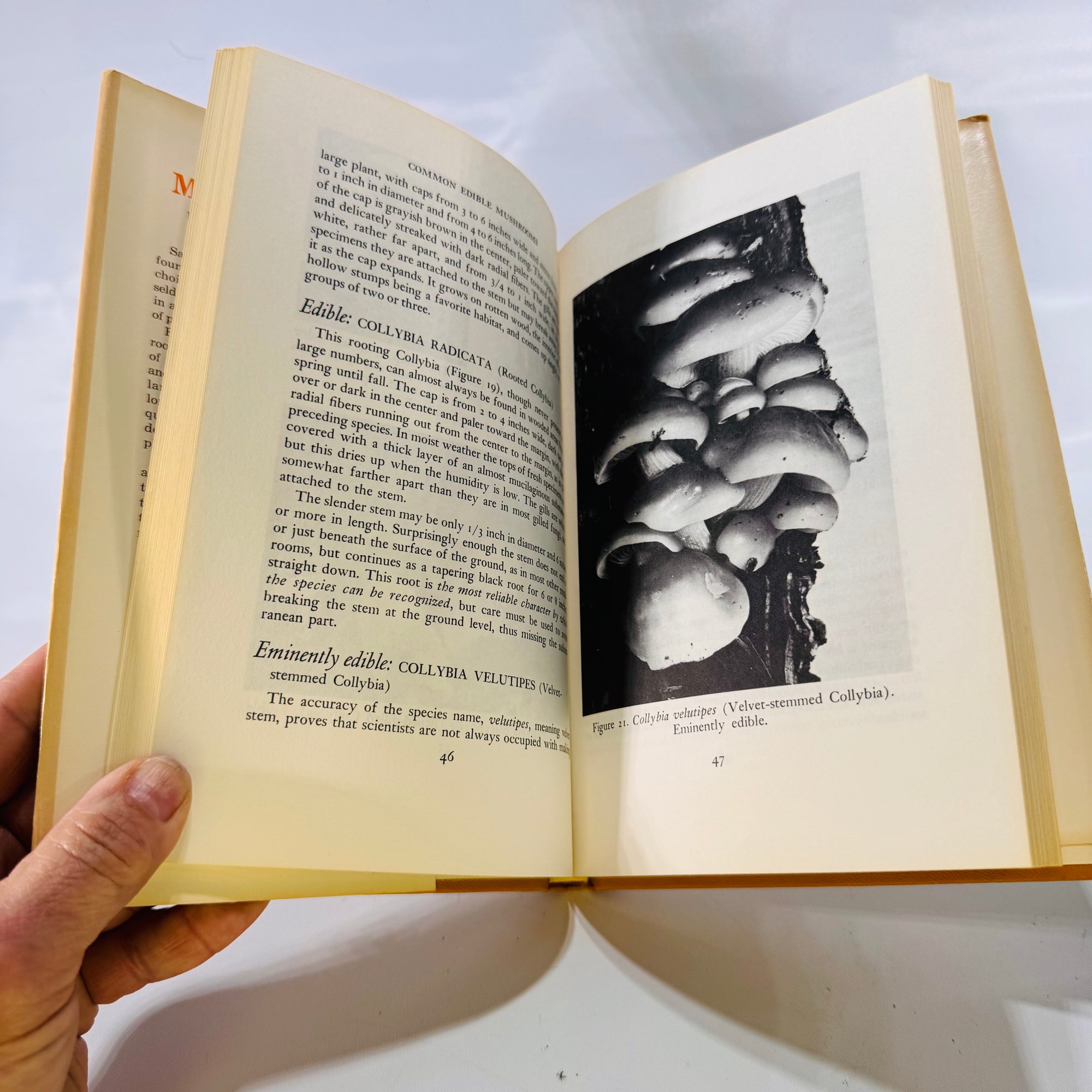 Common Edible Mushrooms by Clyde M. Christensen (1943), The University of Minnesota Press, Hardcover with Dust Jacket