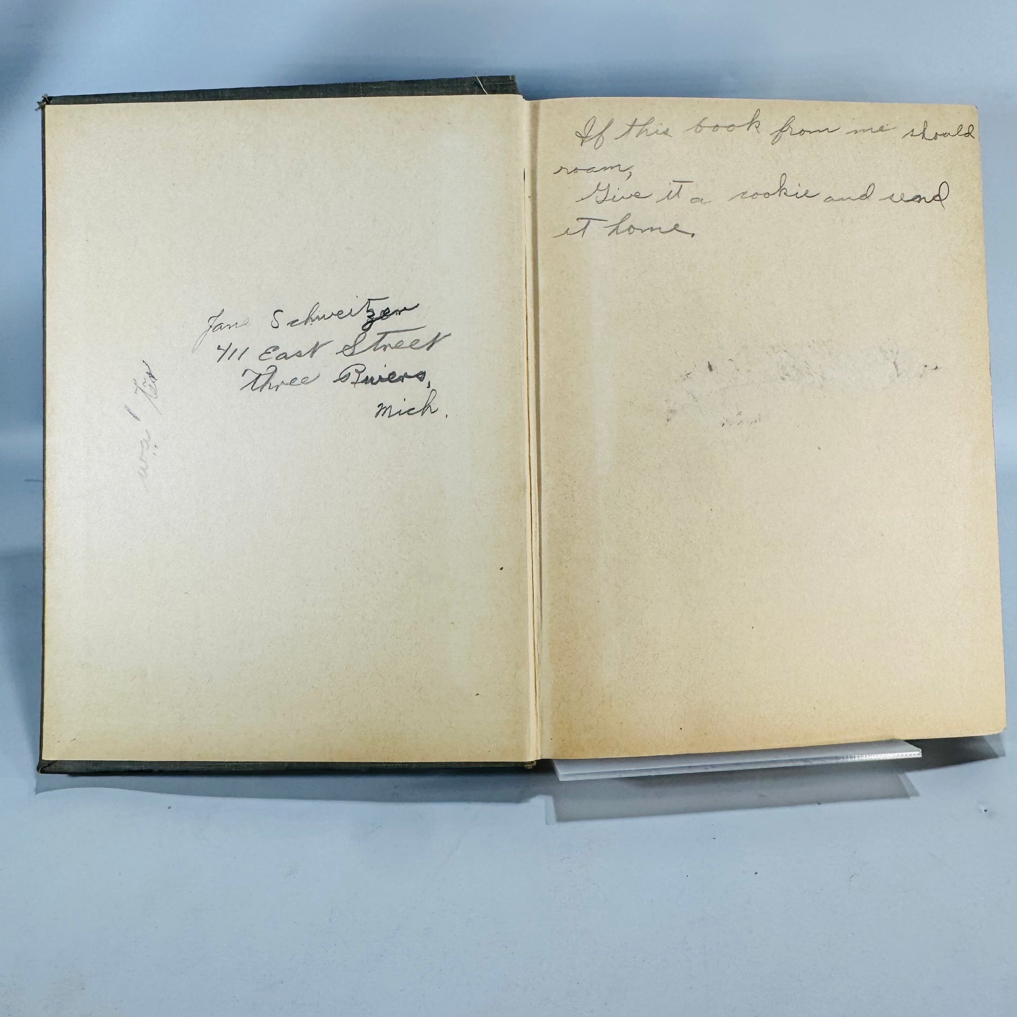 Vintage Public Health Text — Health and Cleanliness (1927, Revised Ed.) — O’Shea & Kellogg | Pictorial Cloth,  Physiology