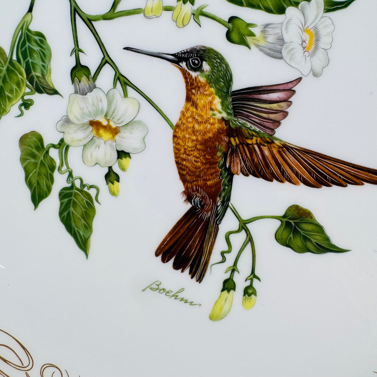 Edward Marshall Boehm Brazilian Ruby Hummingbird Collector Plate