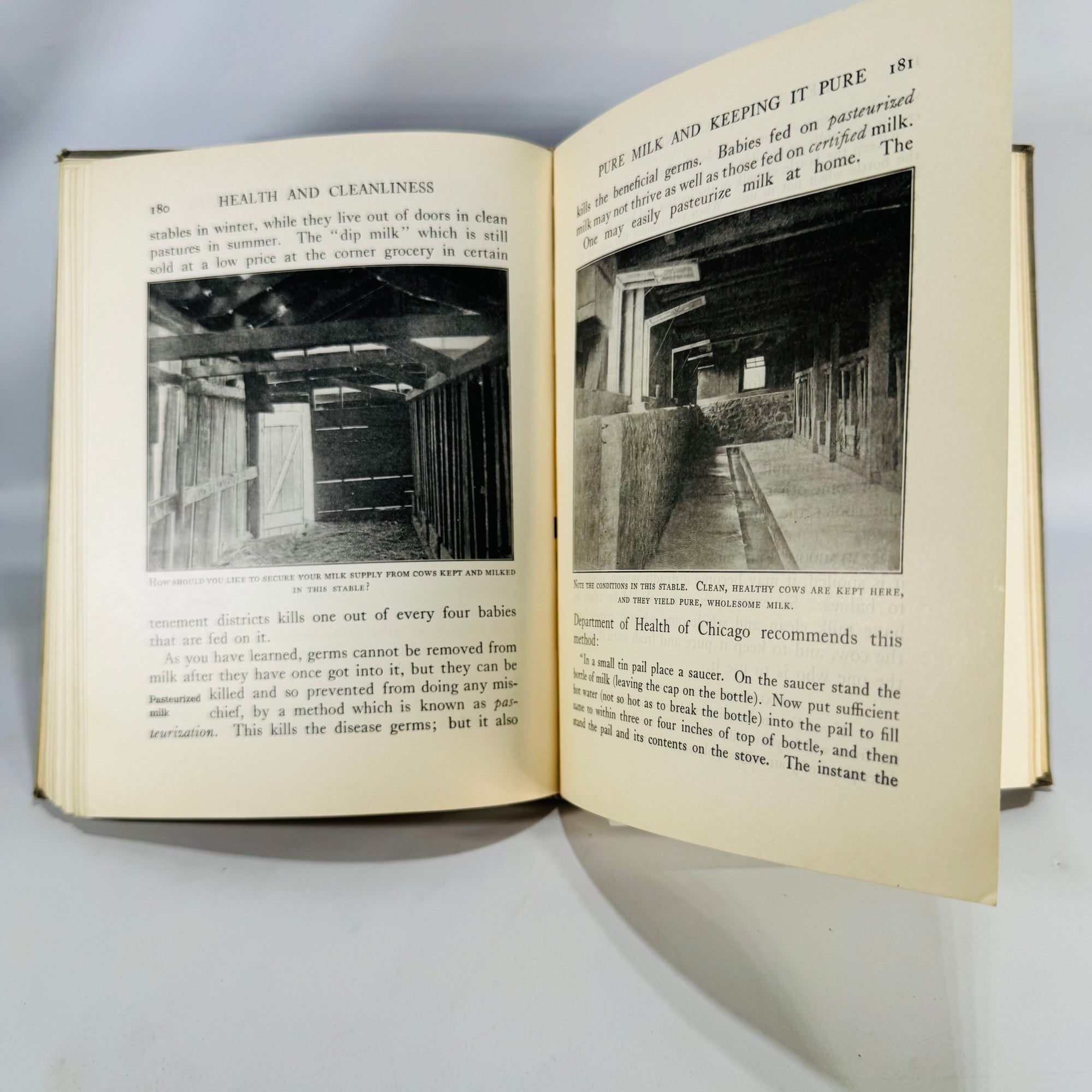 Vintage Public Health Text — Health and Cleanliness (1927, Revised Ed.) — O’Shea & Kellogg | Pictorial Cloth,  Physiology
