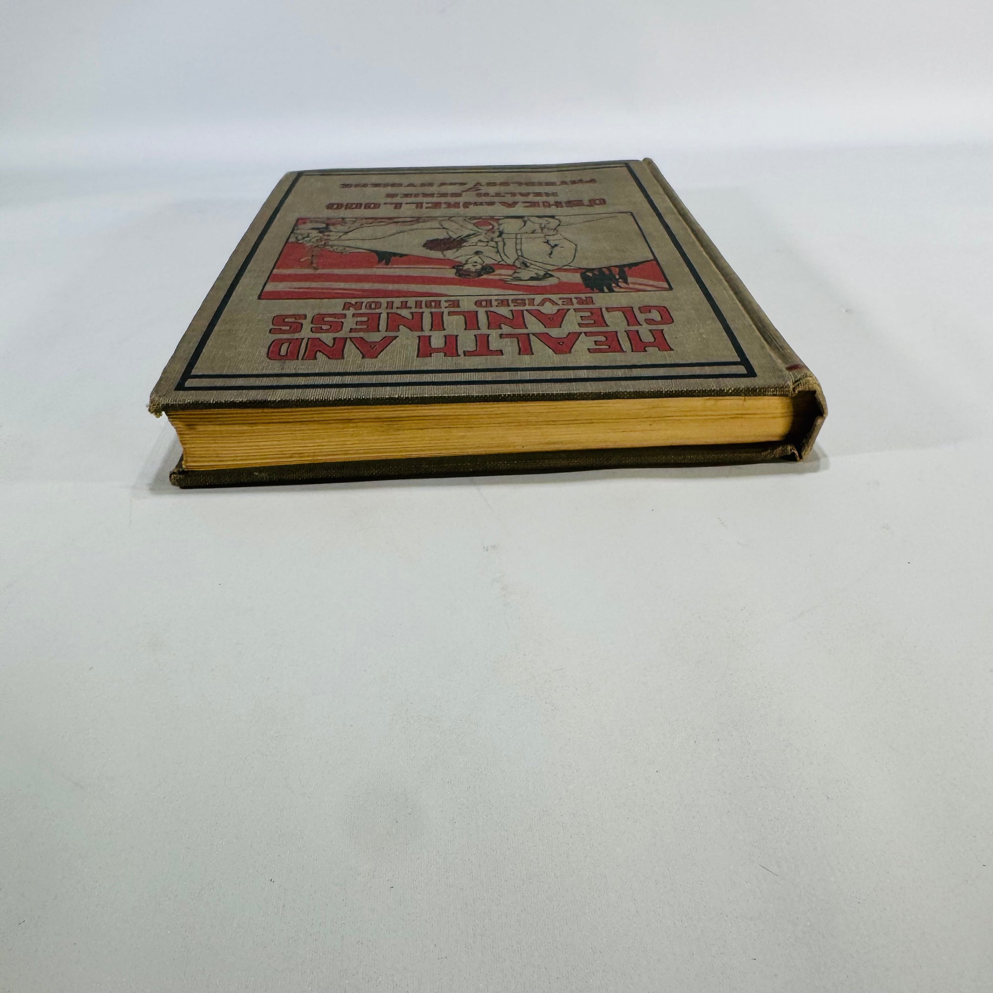 Vintage Public Health Text — Health and Cleanliness (1927, Revised Ed.) — O’Shea & Kellogg | Pictorial Cloth,  Physiology