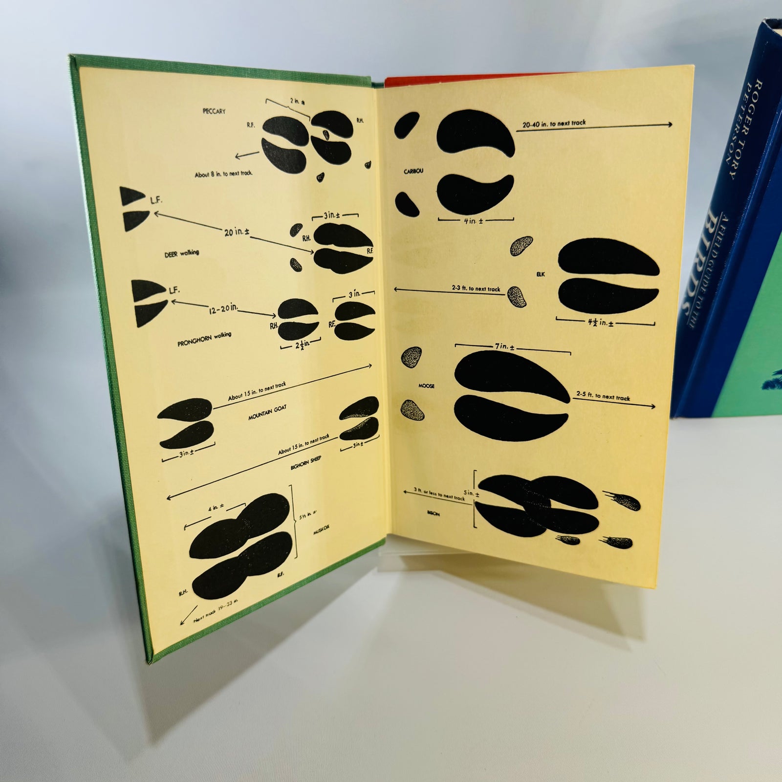Peterson Field Guide Birds Mammals Bundle | Vintage Wildlife Reference Books