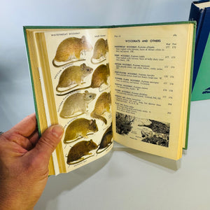 Peterson Field Guide Birds Mammals Bundle | Vintage Wildlife Reference Books