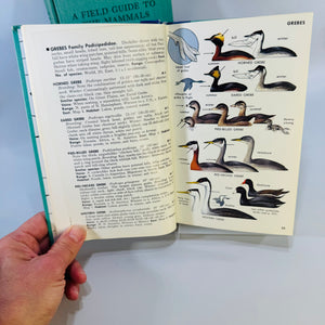 Peterson Field Guide Birds Mammals Bundle | Vintage Wildlife Reference Books