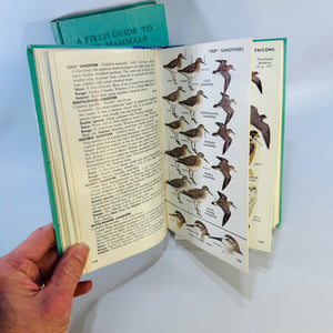 Peterson Field Guide Birds Mammals Bundle | Vintage Wildlife Reference Books