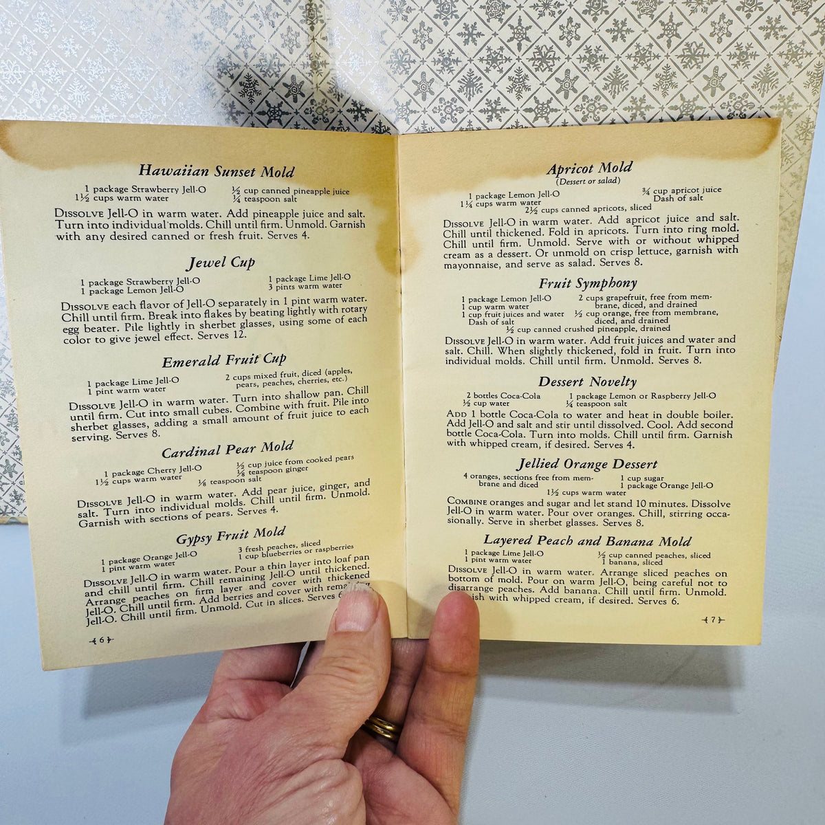 Vintage General Electric Refrigerator Cookbook Bundle Electric Refrigerator Recipes Alice Bradley 1929