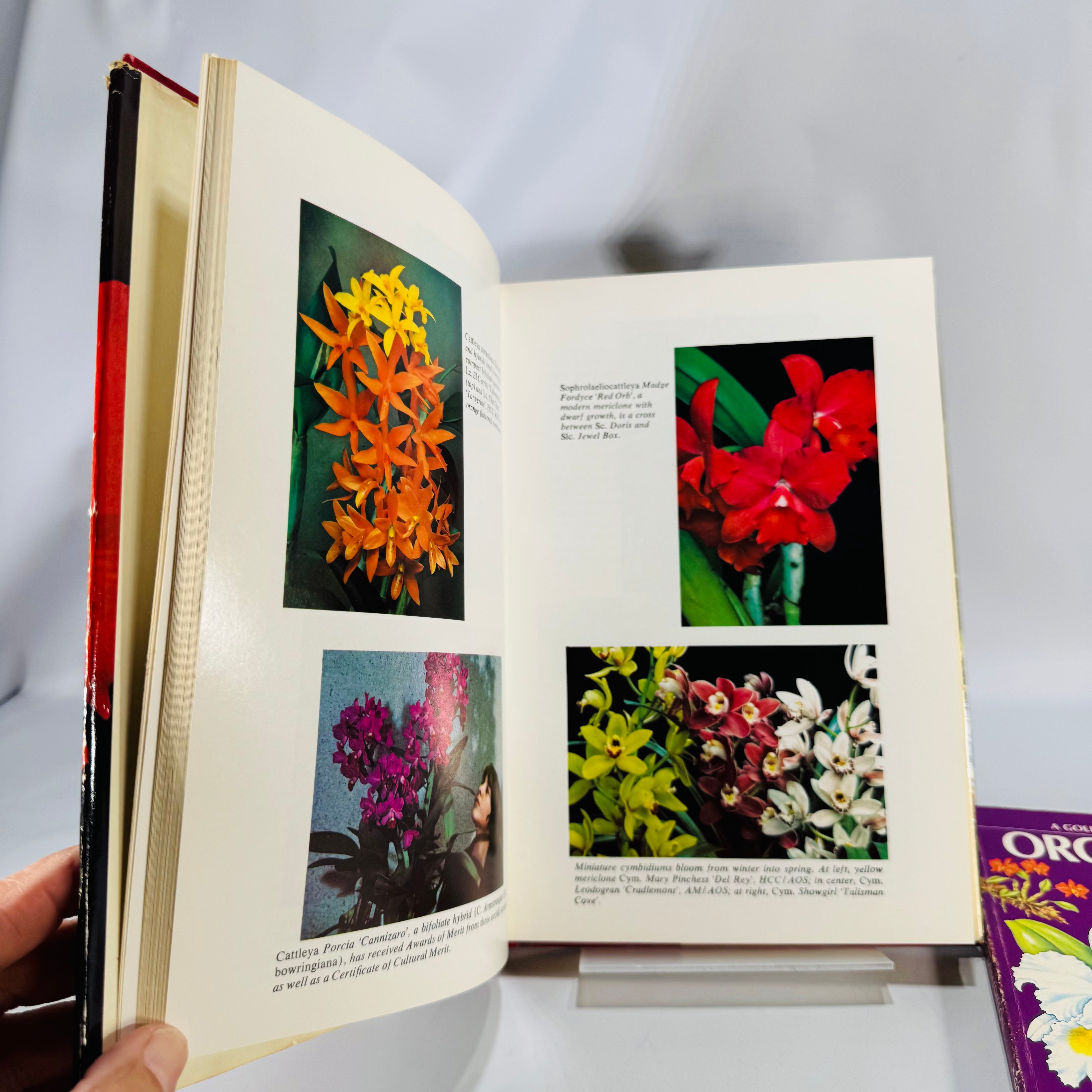 Orchid Care & Greenhouse Guides – Illustrated Vintage Horticulture