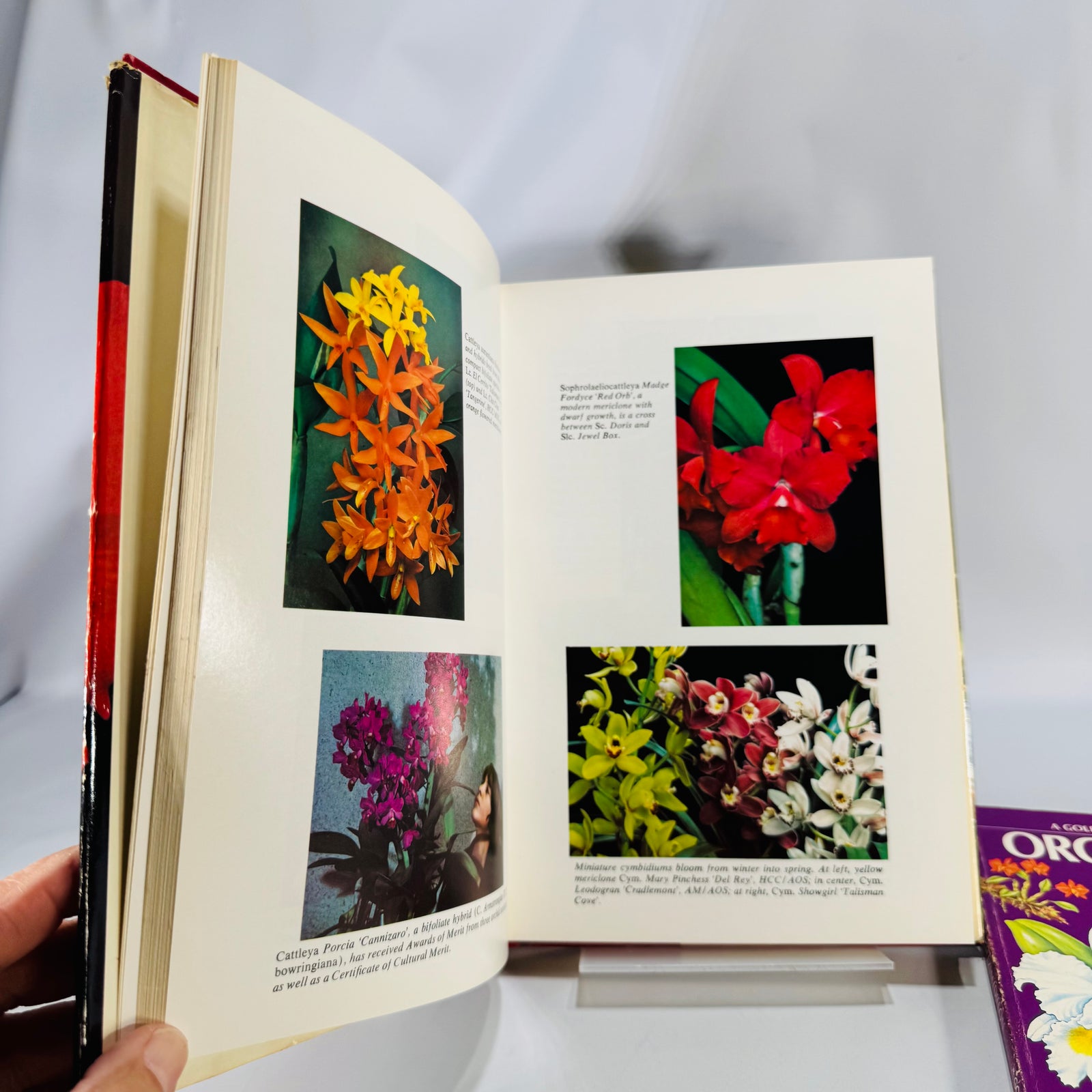 Horticulture / Gardening Reference — Orchid & Greenhouse Guides 3-Book Set (c.1970s–1980s) — Fitch • Chabot • Zim/Shuttleworth/Dillon | Illustrated, Orchid Care