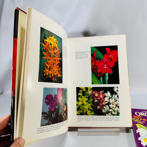 Horticulture / Gardening Reference — Orchid & Greenhouse Guides 3-Book Set (c.1970s–1980s) — Fitch • Chabot • Zim/Shuttleworth/Dillon | Illustrated, Orchid Care