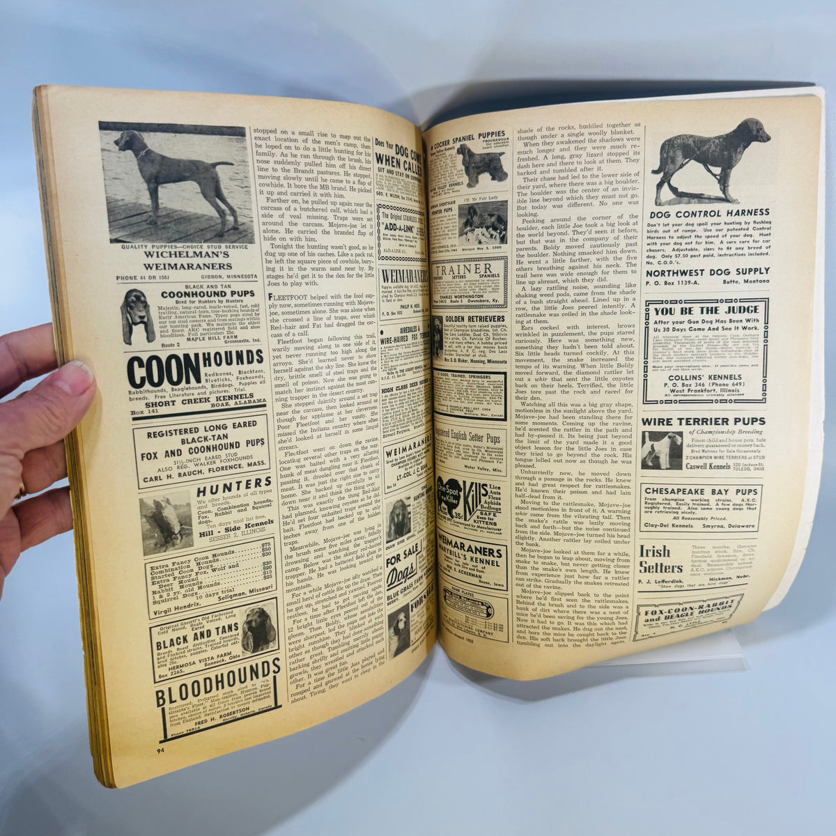 Sports Afield August 1950 Vintage Magazine Hunting Fishing Outdoor Life Mid Century Ads Collectible