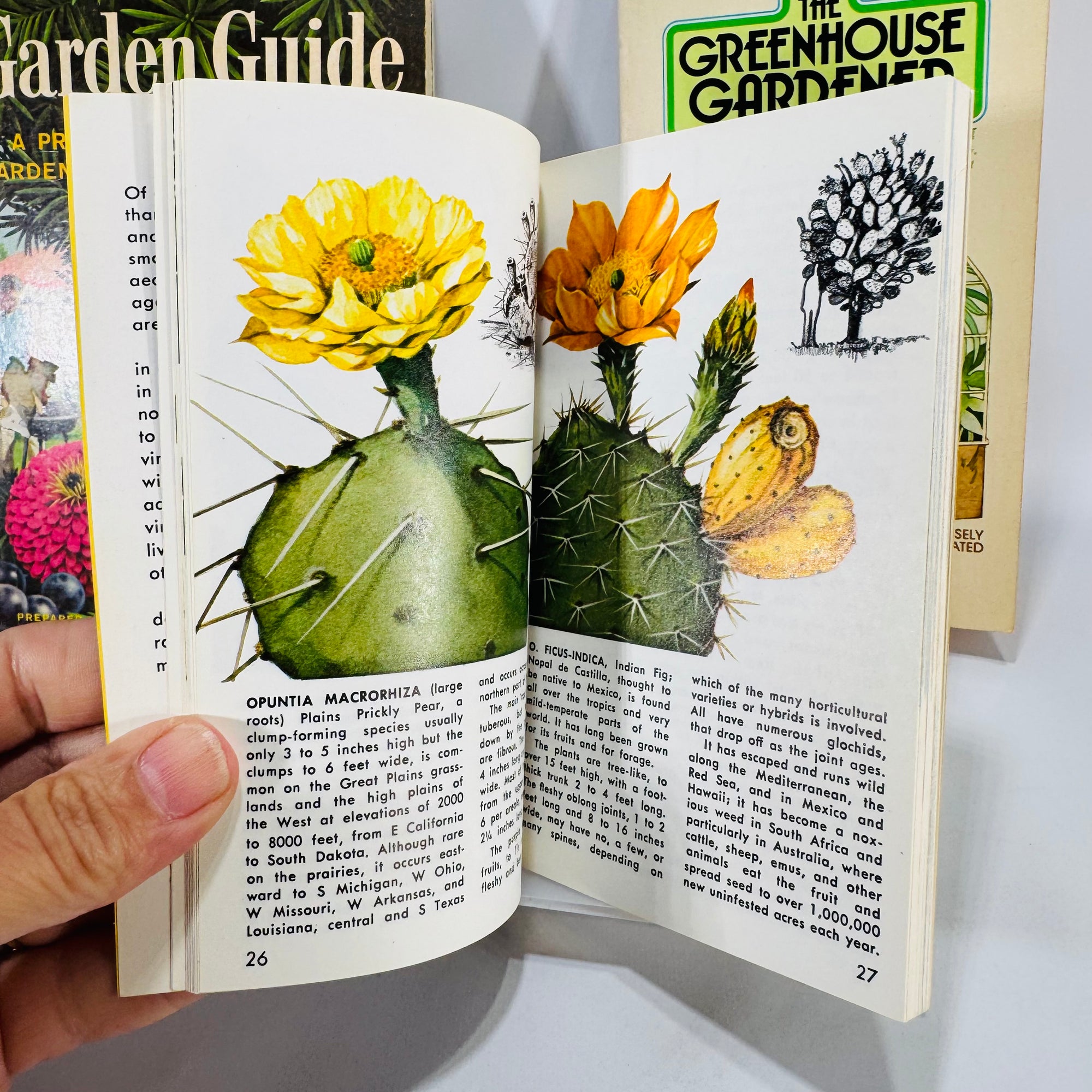 Garden & Greenhouse Paperbacks Lot (1961–1976) — Golden Guides + Signet | 4-Book Vintage Gardening Reference