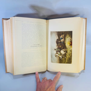 The Historians’ History of the World Vol. XXIV 1907 Hardcover History Book