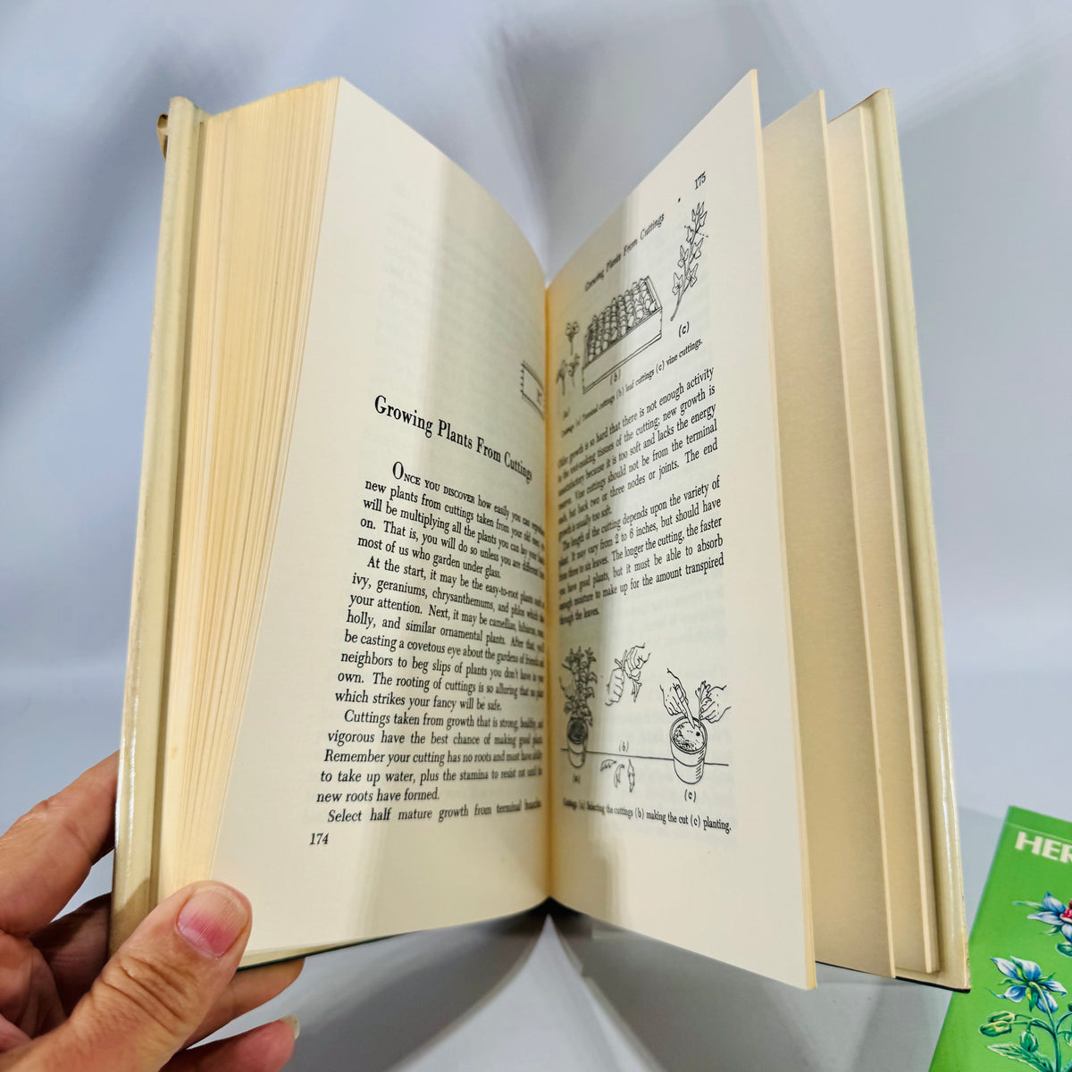 Greenhouse Gardening & Herbs Duo — The New Greenhouse Gardening for Everyone (HC/DJ, 1955/Gramercy) + Herbs and Spices Golden Guide (1976 PB) | Gardening & Herb Reference