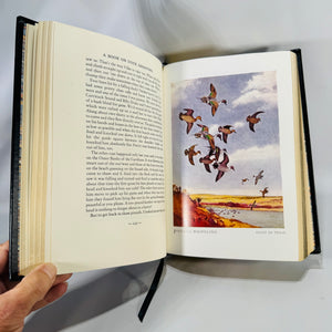 A Book on Duck Shooting (1982 Limited Edition) — Van Campen Heilner | Numbered, Ribbon & Gilt Edges, Hunting & Fishing / Waterfowl