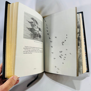 A Book on Duck Shooting (1982 Limited Edition) — Van Campen Heilner | Numbered, Ribbon & Gilt Edges, Hunting & Fishing / Waterfowl