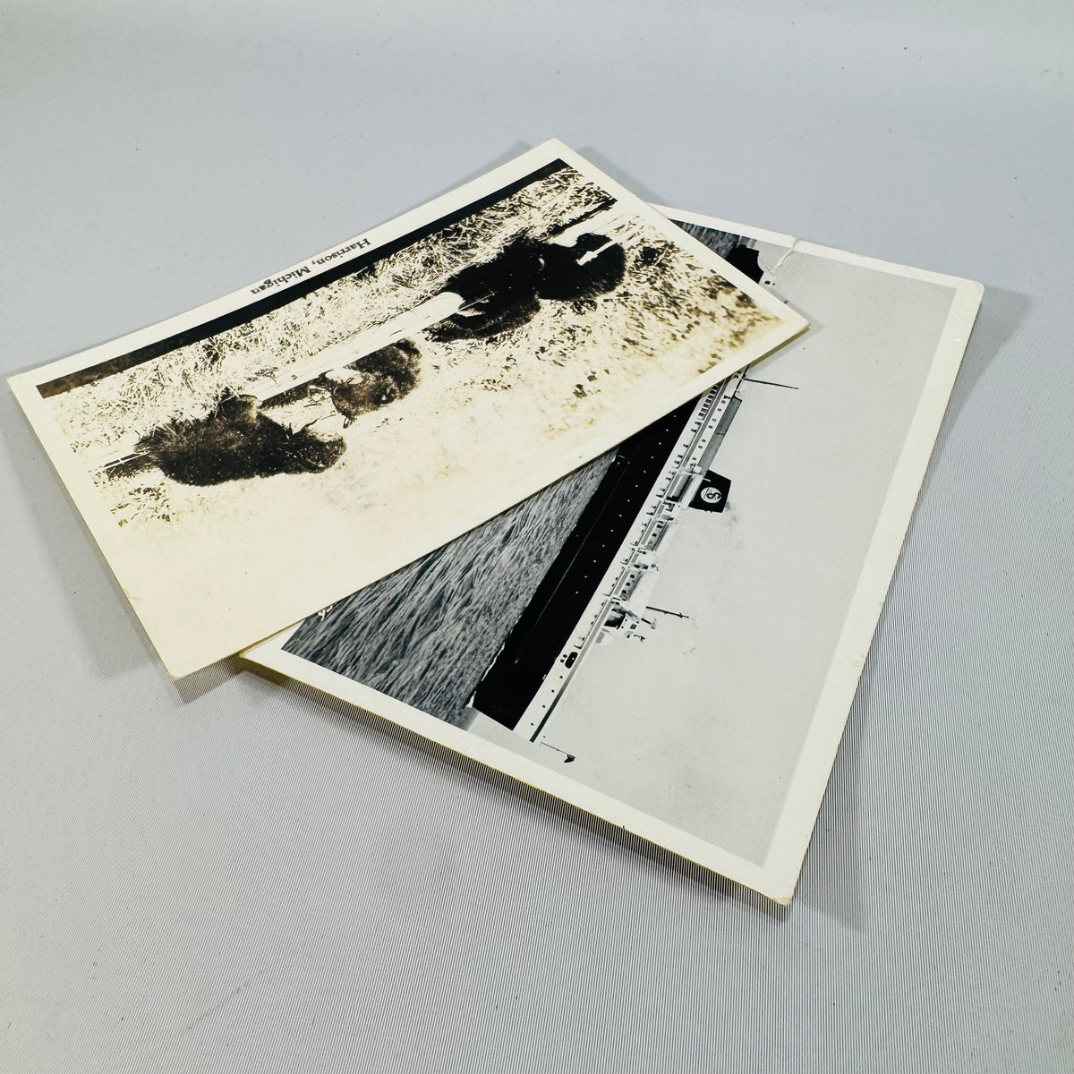 Vintage Michigan Postcard Bundle | S.S. Badger Ludington & Harrison Bear Postcards