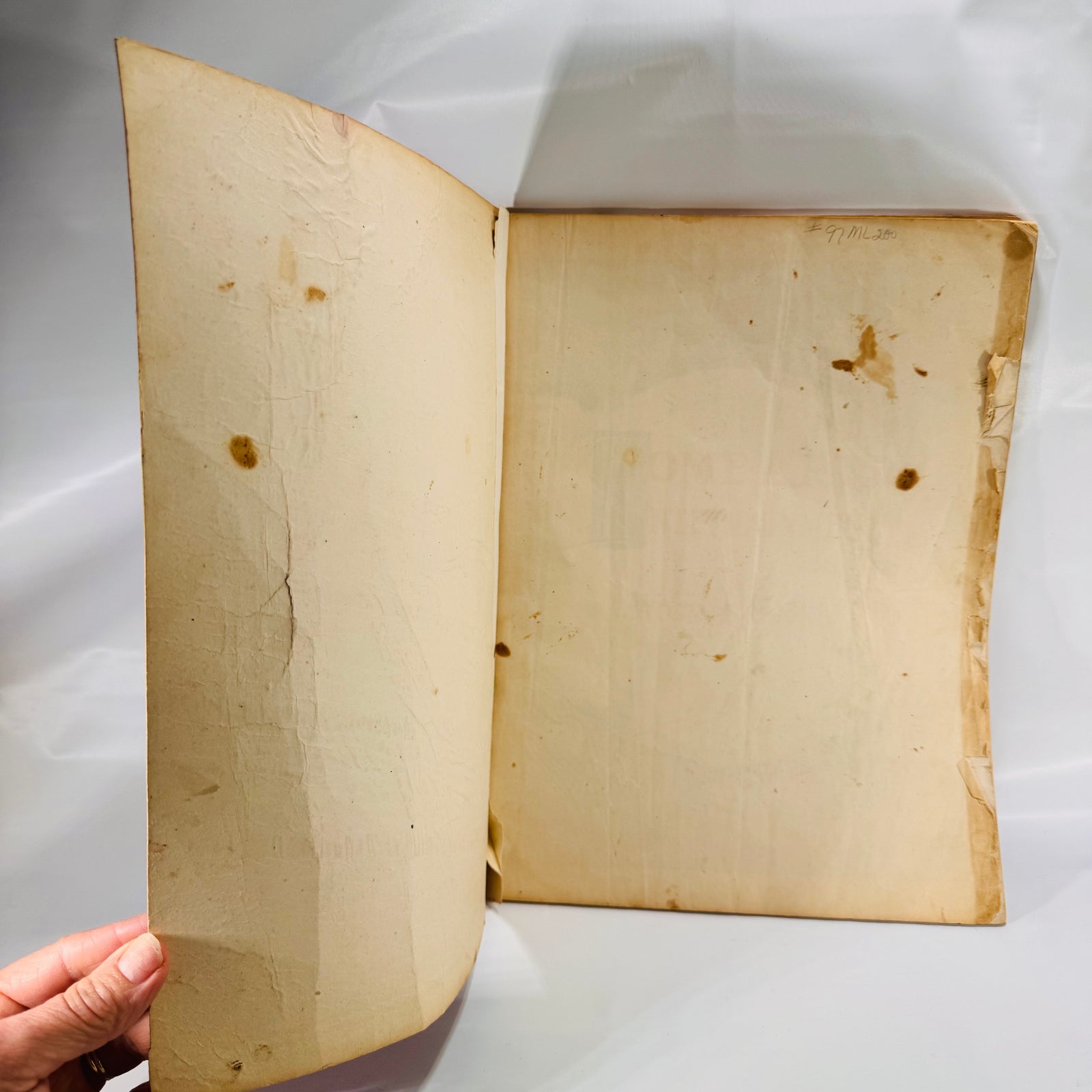 Home Arts and Entertainment: A Supplement to Woman's Weekly (1922) – Oversized Softcover