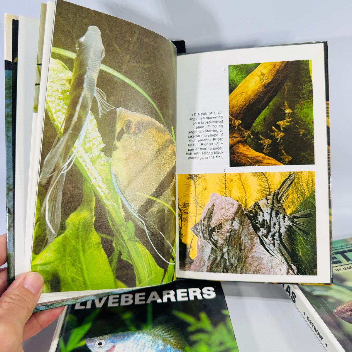 Four-Book Vintage Aquarium Care Bundle | TFH Publications 1979–1989 | Fishkeeping Guides