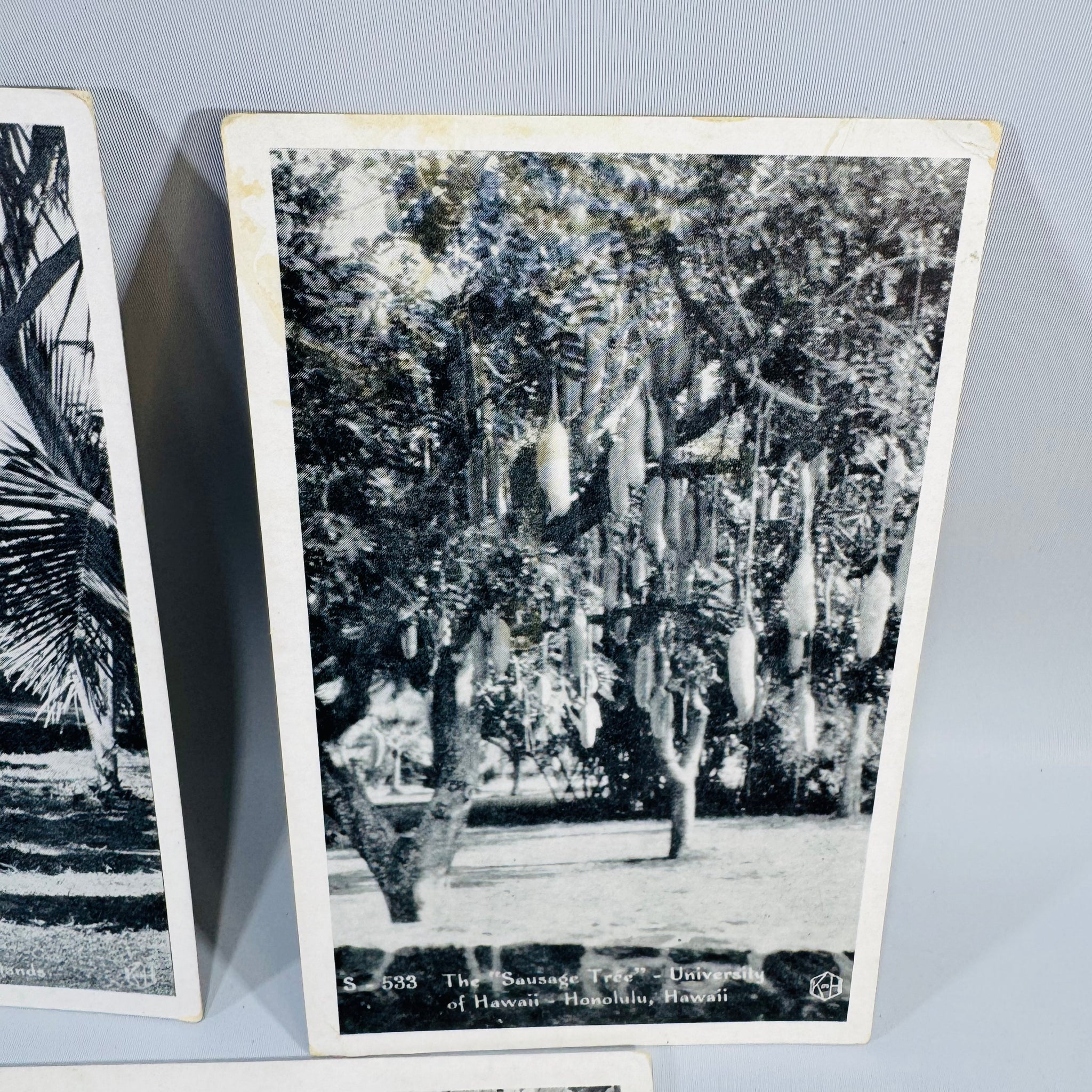 Vintage Hawaii Postcard Bundle – Honolulu Ephemera - Reading Vintage