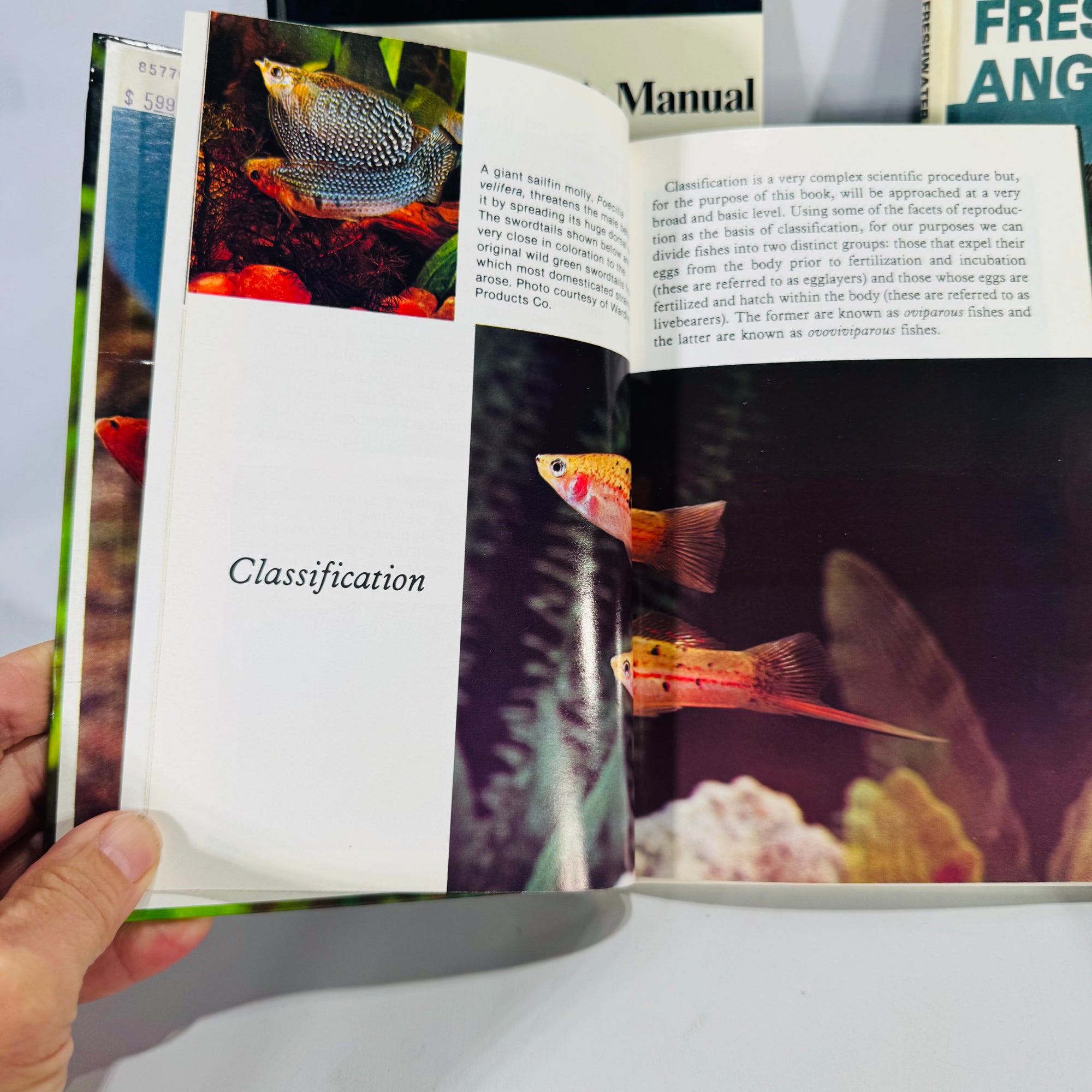 Four-Book Vintage Aquarium Care Bundle | TFH Publications 1979–1989 | Fishkeeping Guides