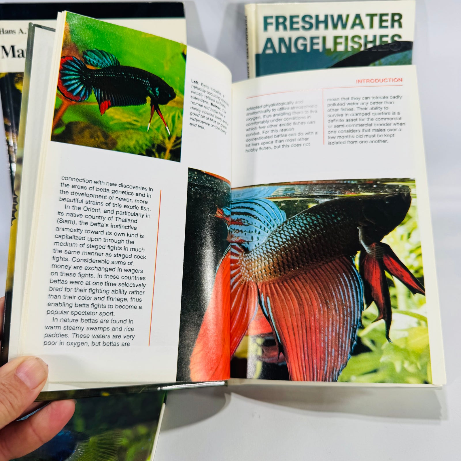 Four-Book Vintage Aquarium Care Bundle | TFH Publications 1979–1989 | Fishkeeping Guides