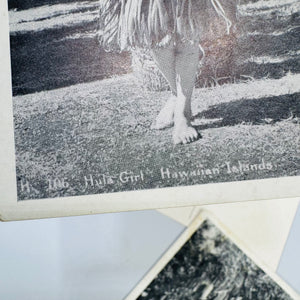 Vintage Hawaii Postcard Bundle | Honolulu Hula Girl, Sausage Tree, Night Blooming Cereus