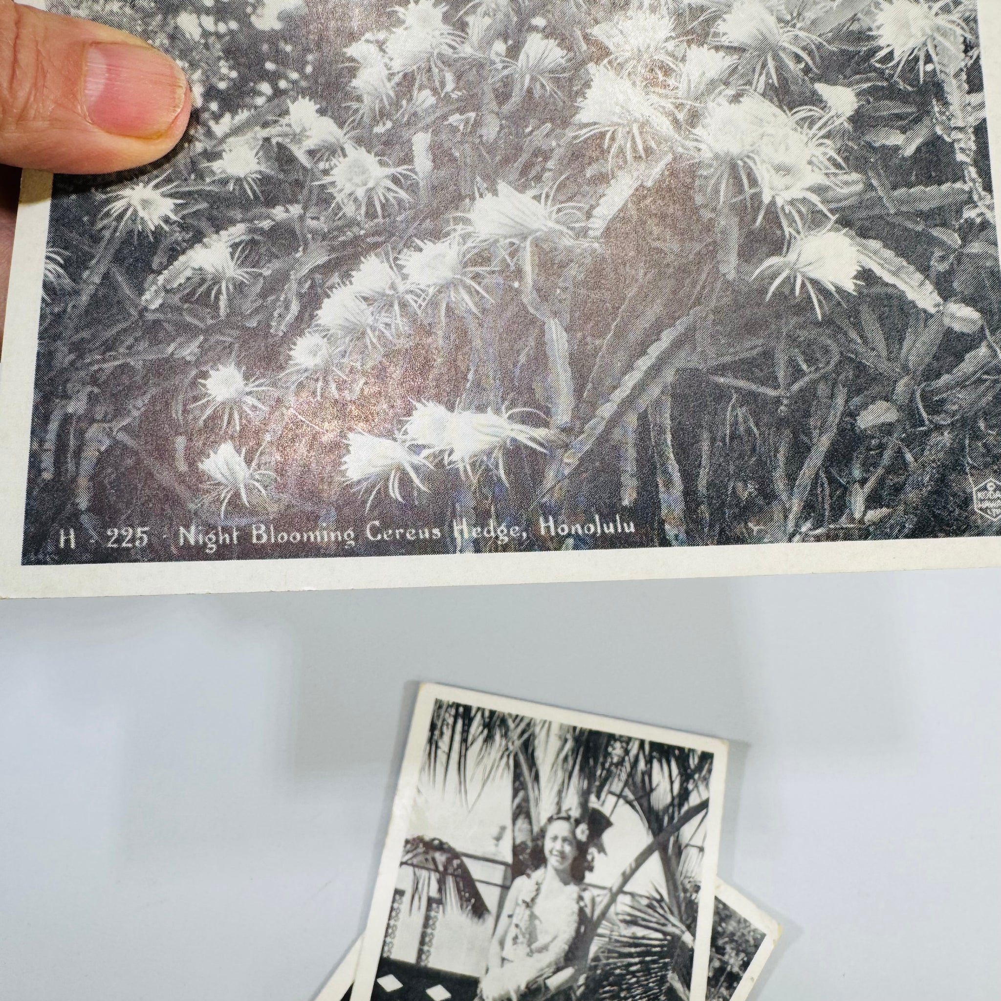 Vintage Hawaii Postcard Bundle – Honolulu Ephemera - Reading Vintage