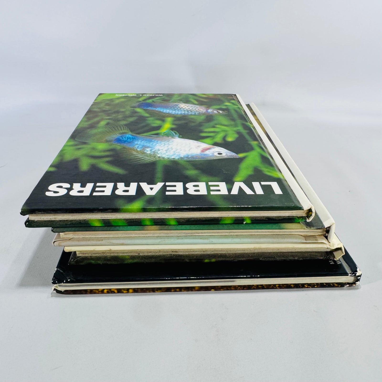 Four-Book Vintage Aquarium Care Bundle | TFH Publications 1979–1989 | Fishkeeping Guides