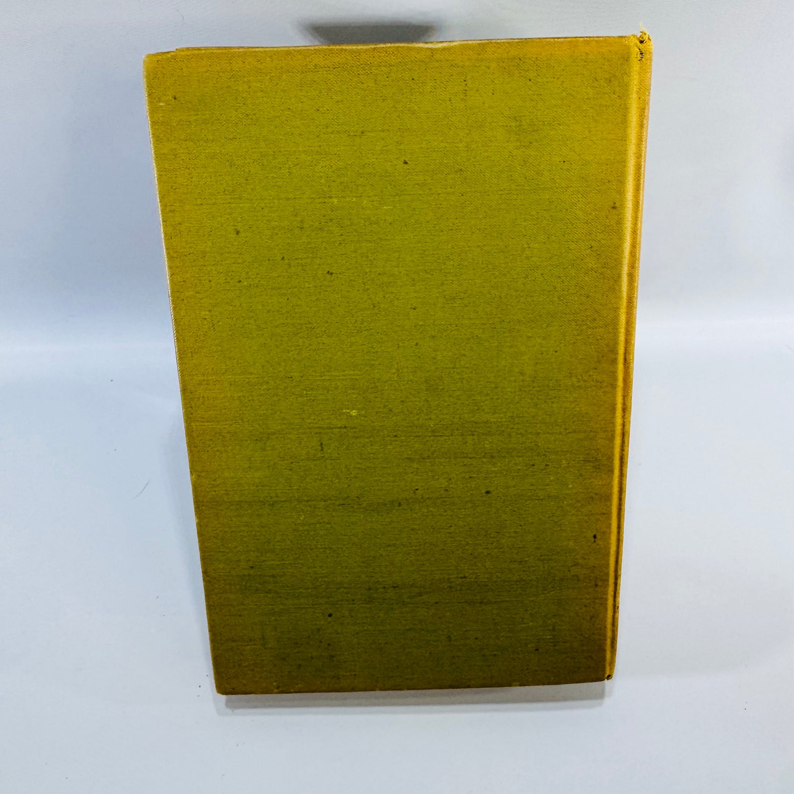 The Riverman by Stewart Edward White 1908 Hardcover – Vintage Adventure Novel with N.C. Wyeth Illustrations