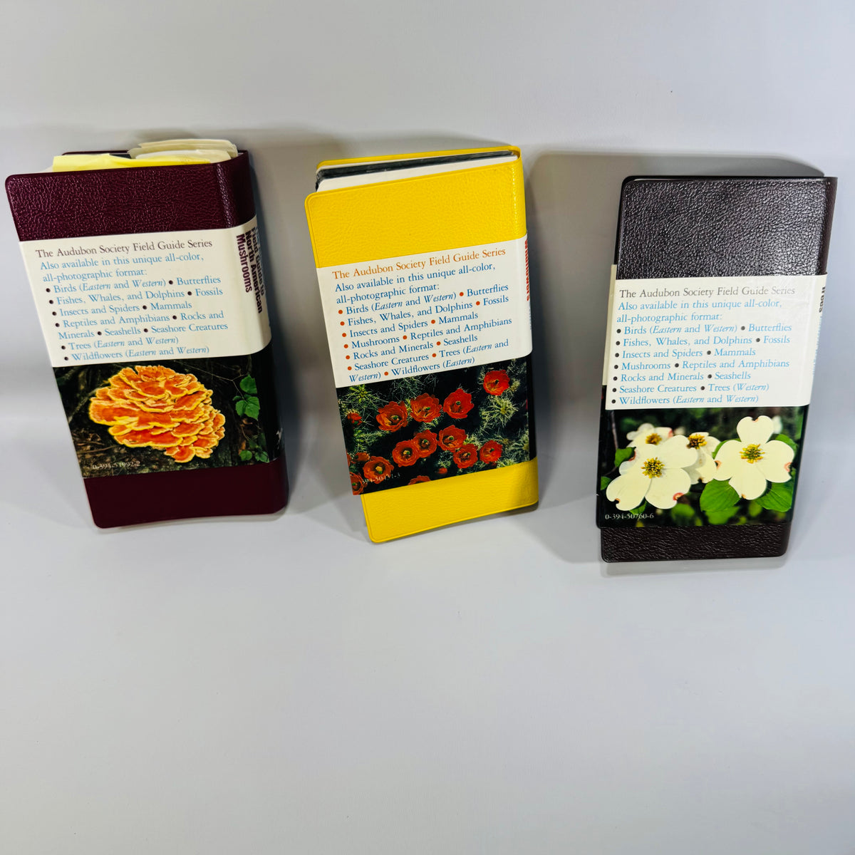 Vintage Audubon Field Guide Bundle Mushrooms Wildflowers Trees Knopf Nature Books 1980s