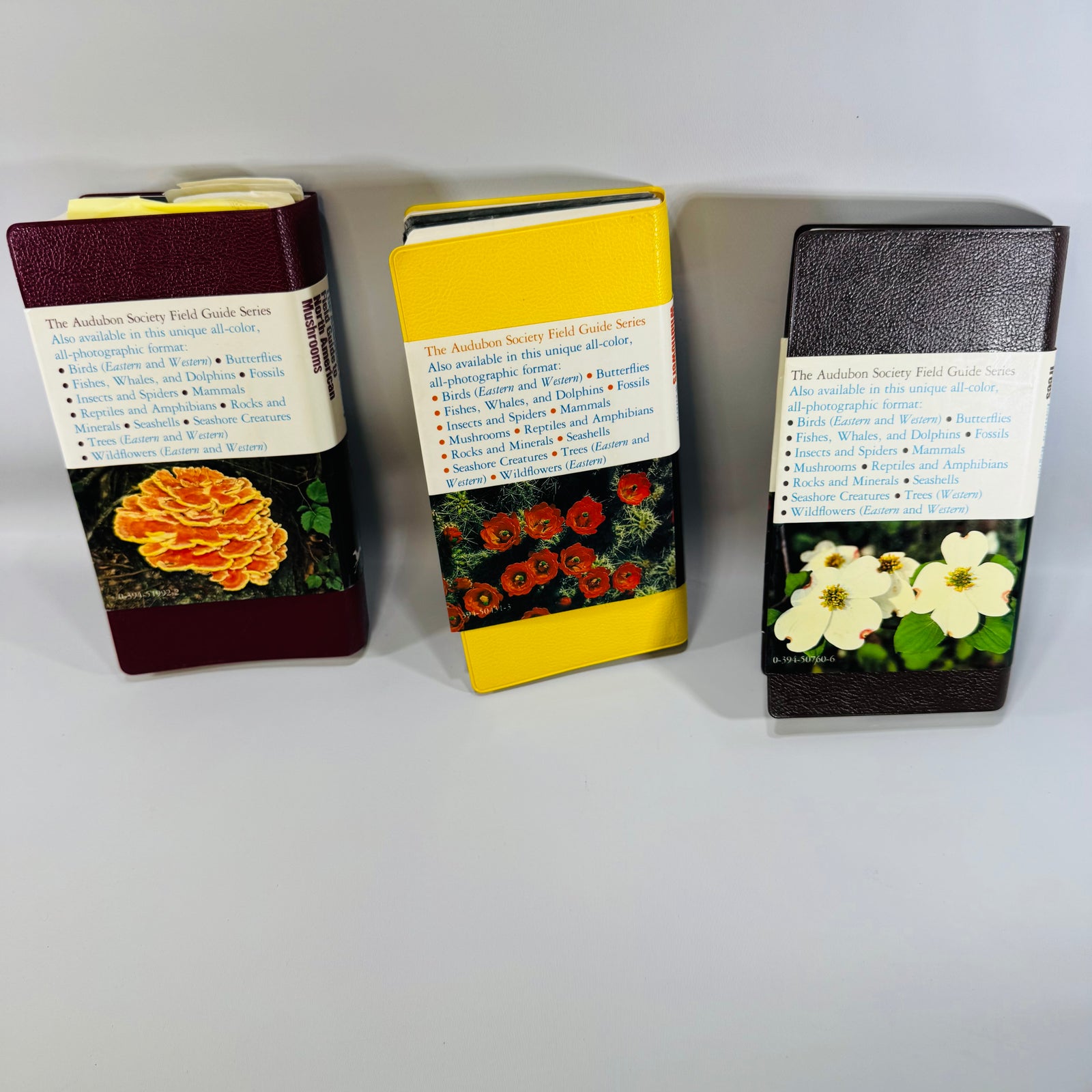 Vintage Audubon Field Guide Bundle Mushrooms Wildflowers Trees Knopf Nature Books 1980s