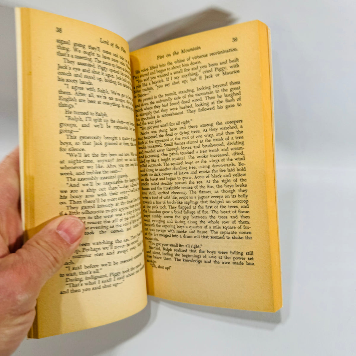 Vintage Lord of the Flies Paperback William Golding Capricorn Books Classic Literature