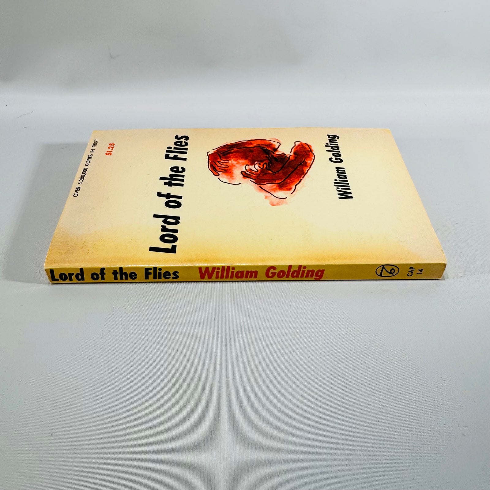 Vintage Lord of the Flies Paperback William Golding Capricorn Books Classic Literature