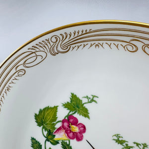 Boehm Broad-billed Hummingbird Collector Plate Fine English Bone China