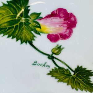 Boehm Broad-billed Hummingbird Collector Plate Fine English Bone China