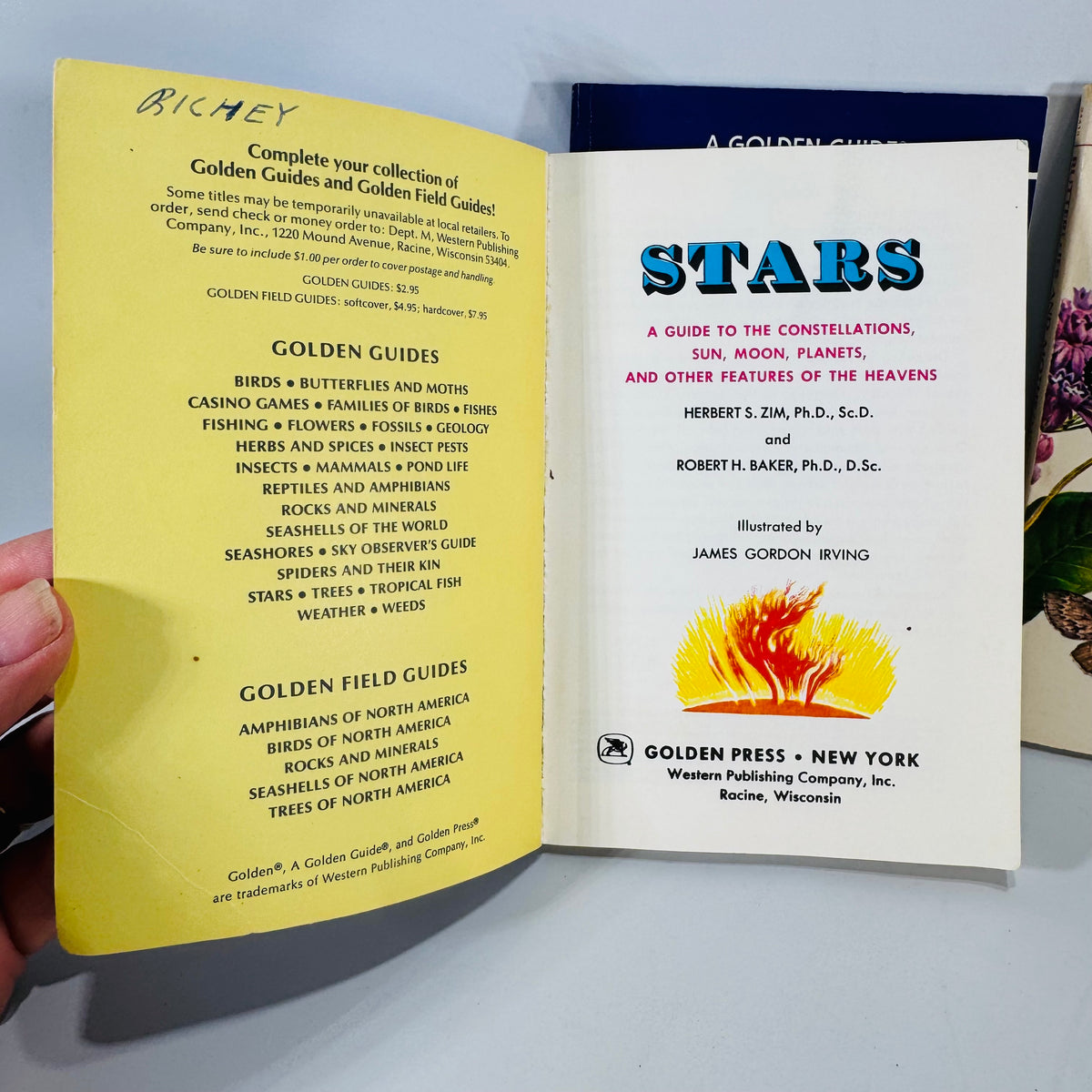 Golden Guide Trio — Stars, Bats of the World, Butterflies & Moths (c. 1964–1994) | Vintage Science & Nature Field Guides