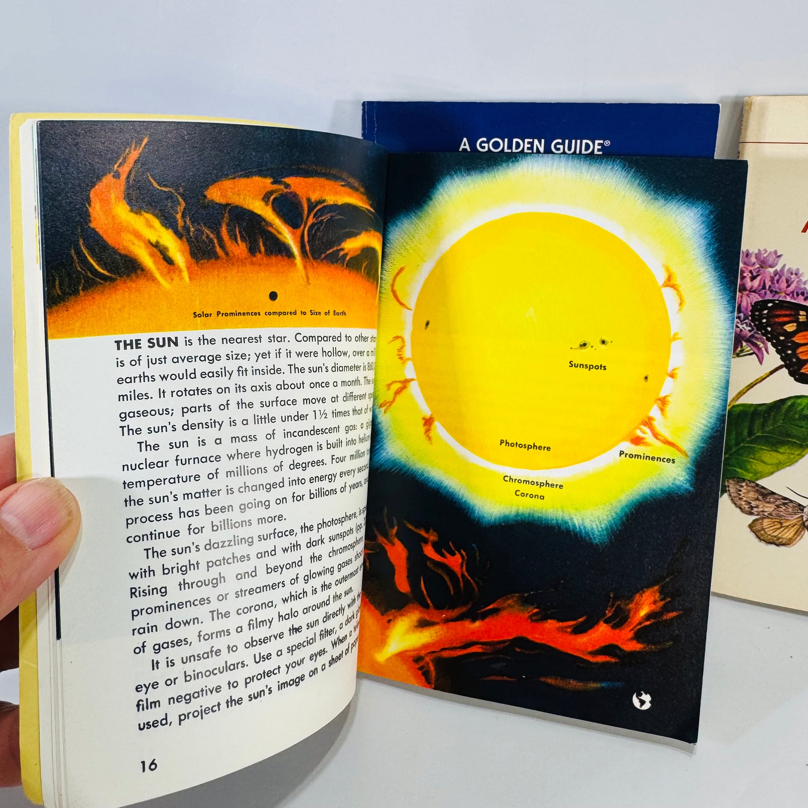 Golden Guide Trio — Stars, Bats of the World, Butterflies & Moths (c. 1964–1994) | Vintage Science & Nature Field Guides