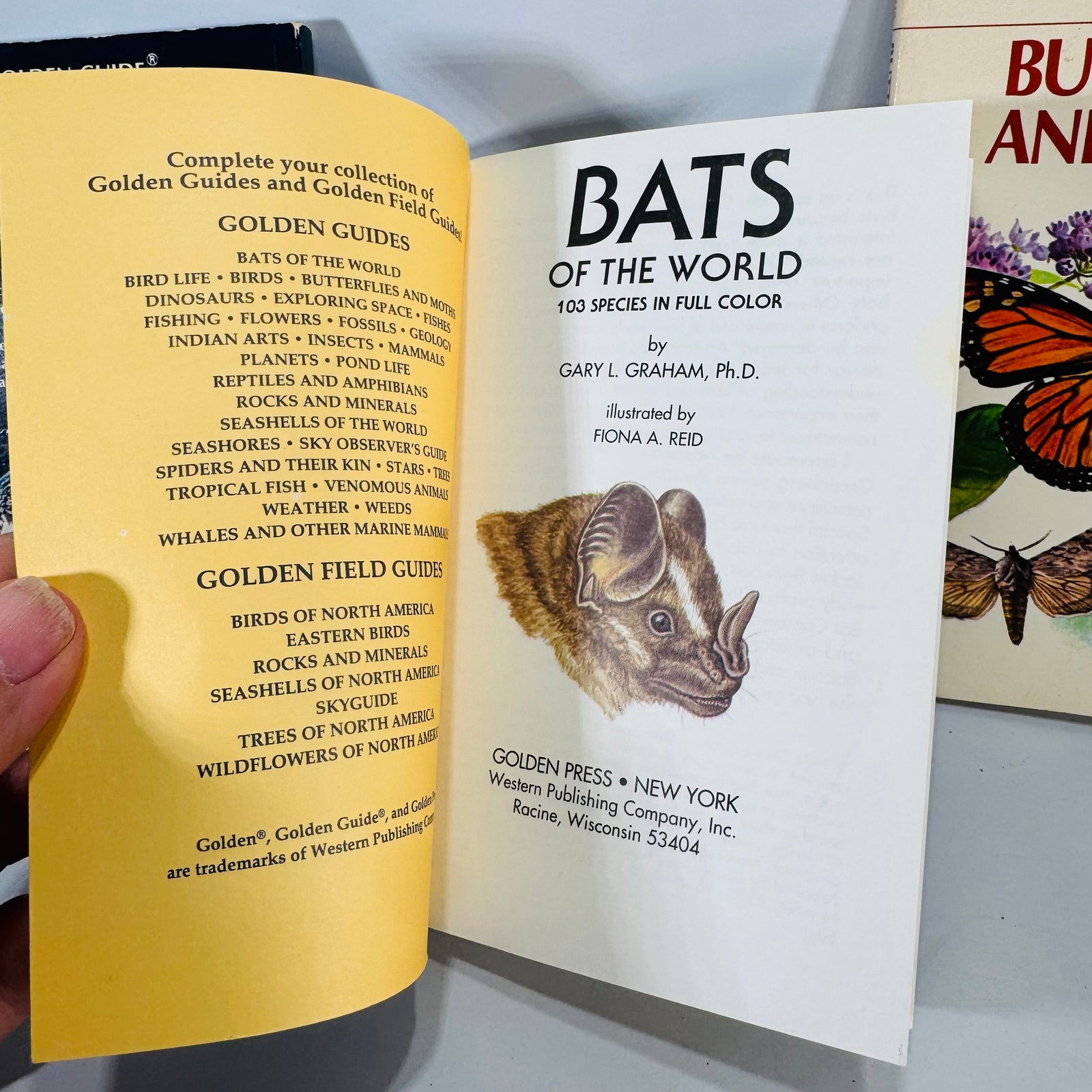 Golden Guide Trio — Stars, Bats of the World, Butterflies & Moths (c. 1964–1994) | Vintage Science & Nature Field Guides