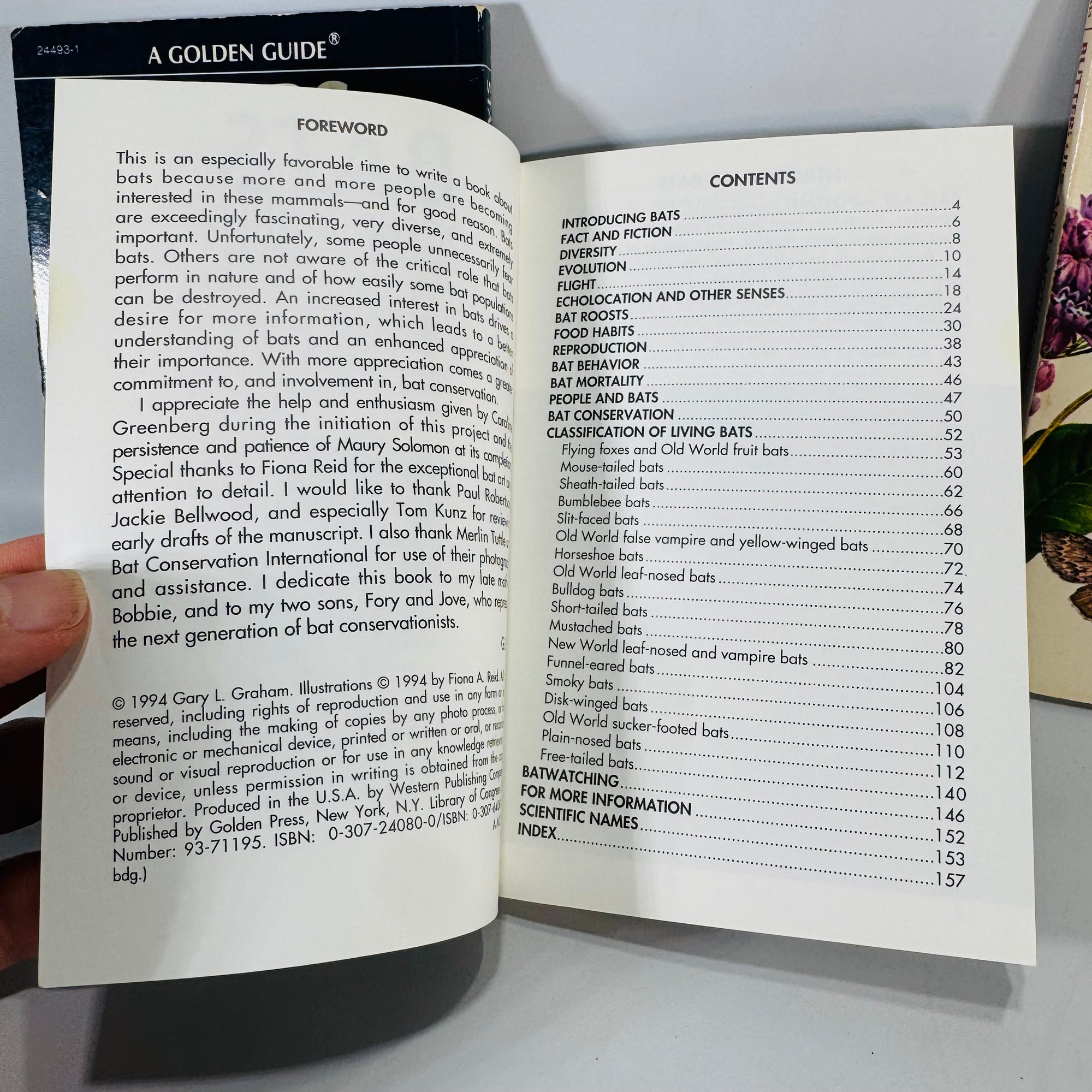 Golden Guide Trio — Stars, Bats of the World, Butterflies & Moths (c. 1964–1994) | Vintage Science & Nature Field Guides