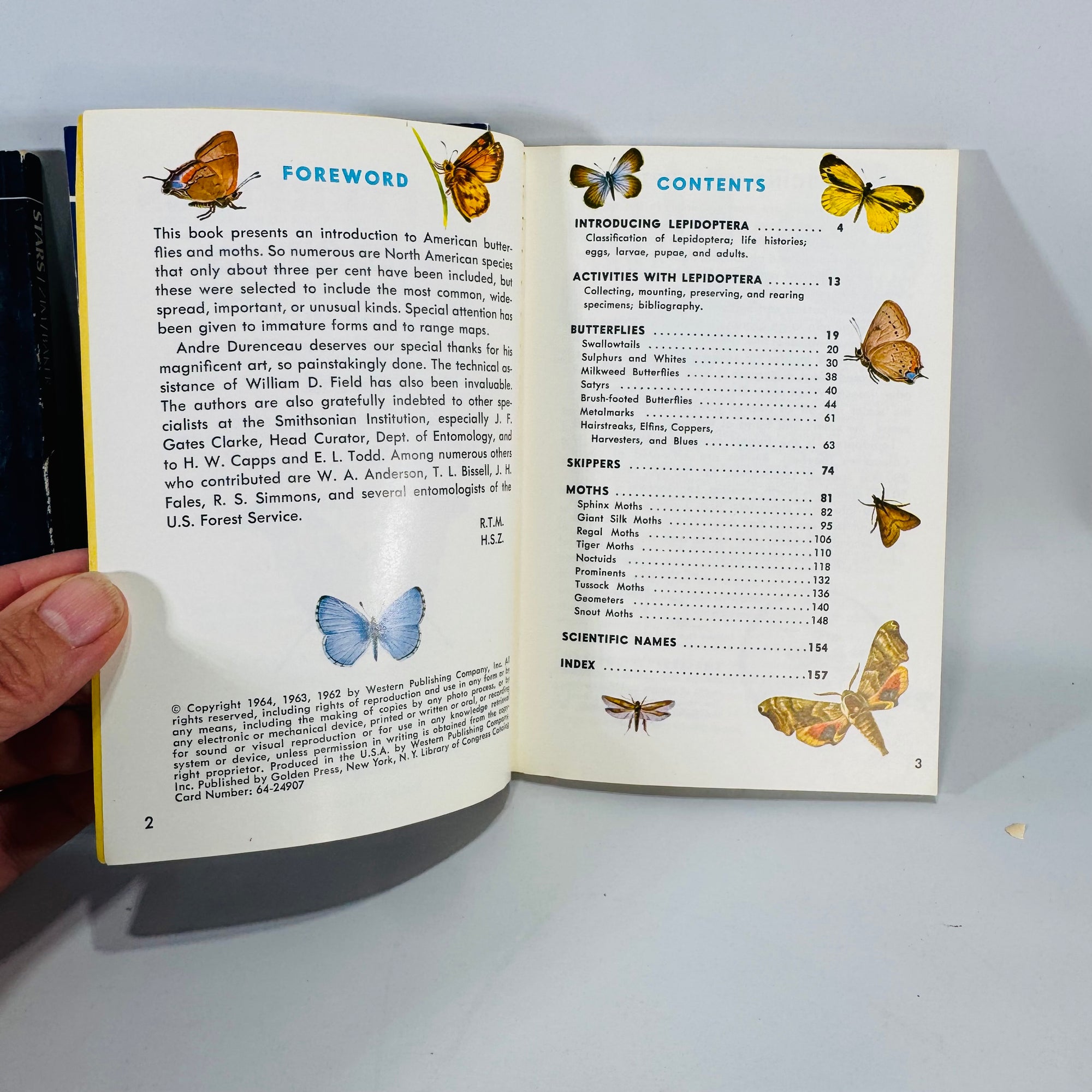 Golden Guide Trio — Stars, Bats of the World, Butterflies & Moths (c. 1964–1994) | Vintage Science & Nature Field Guides