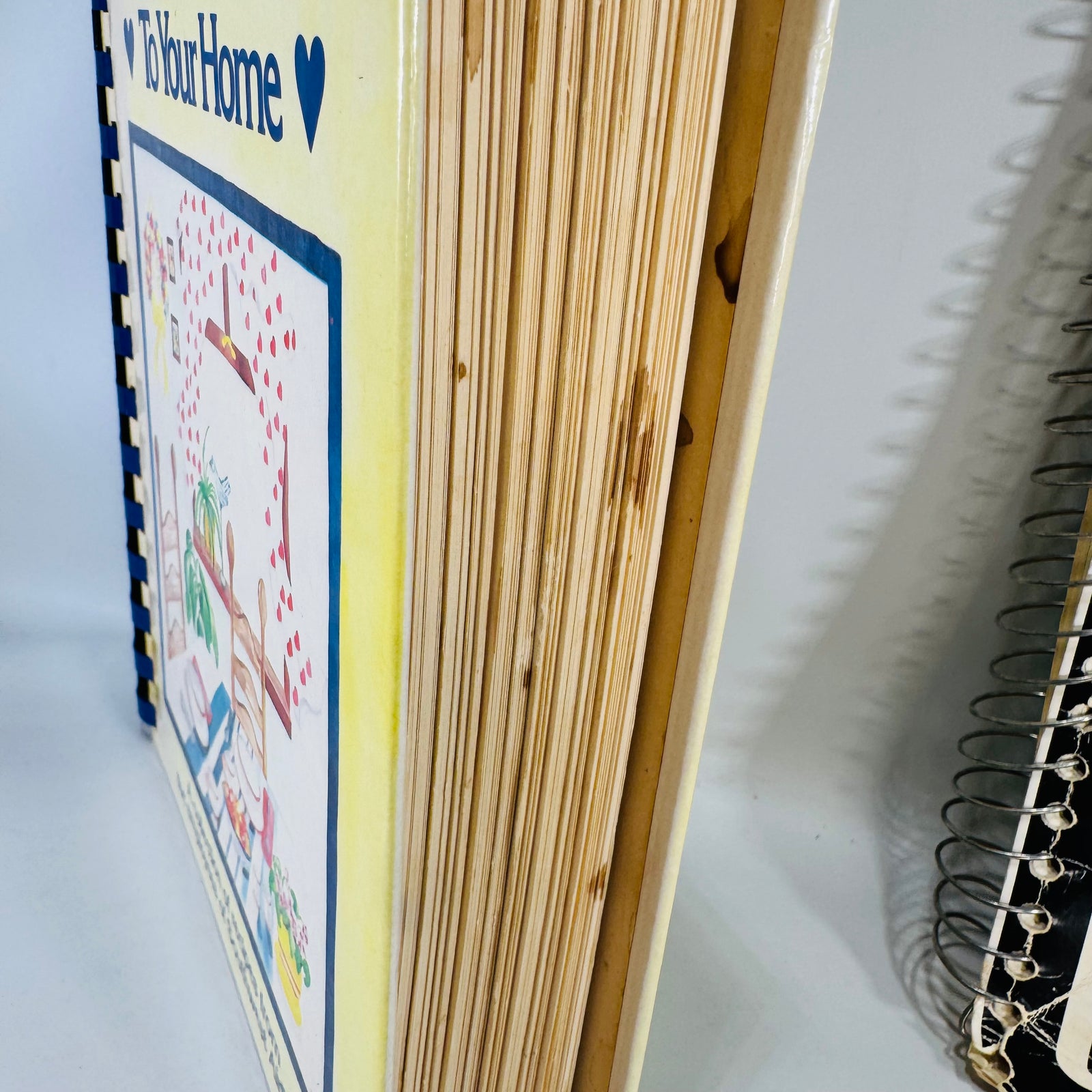 Southwest Airlines & Valparaiso University Guild Community Cookbooks (1972 & 1986) – Vintage Community Recipes Bundle