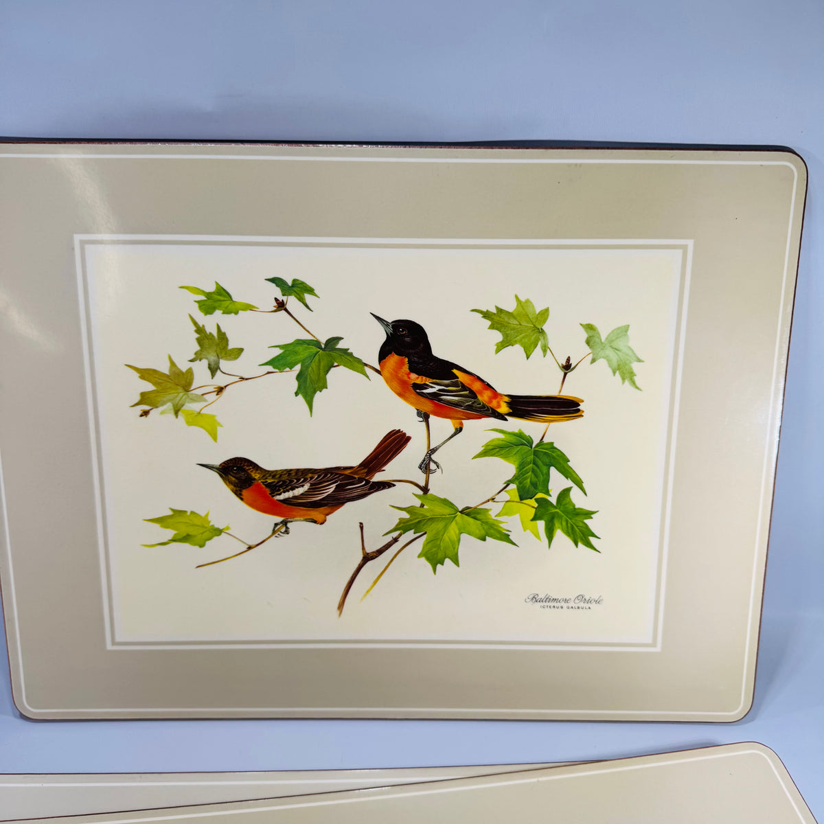 Vintage Pimpernel Bird Placemats Set of 4 Cork Backed Songbird Table Mats Made in England