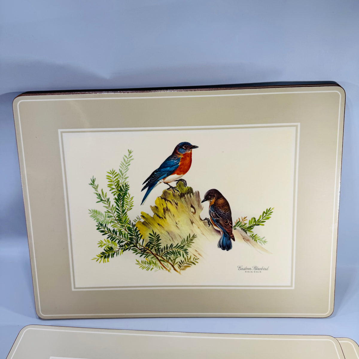 Vintage Pimpernel Bird Placemats Set of 4 Cork Backed Songbird Table Mats Made in England