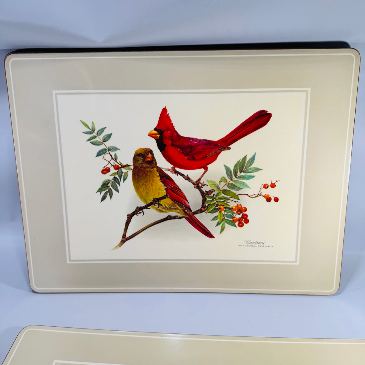 Vintage Pimpernel Bird Placemats Set of 4 Cork Backed Songbird Table Mats Made in England