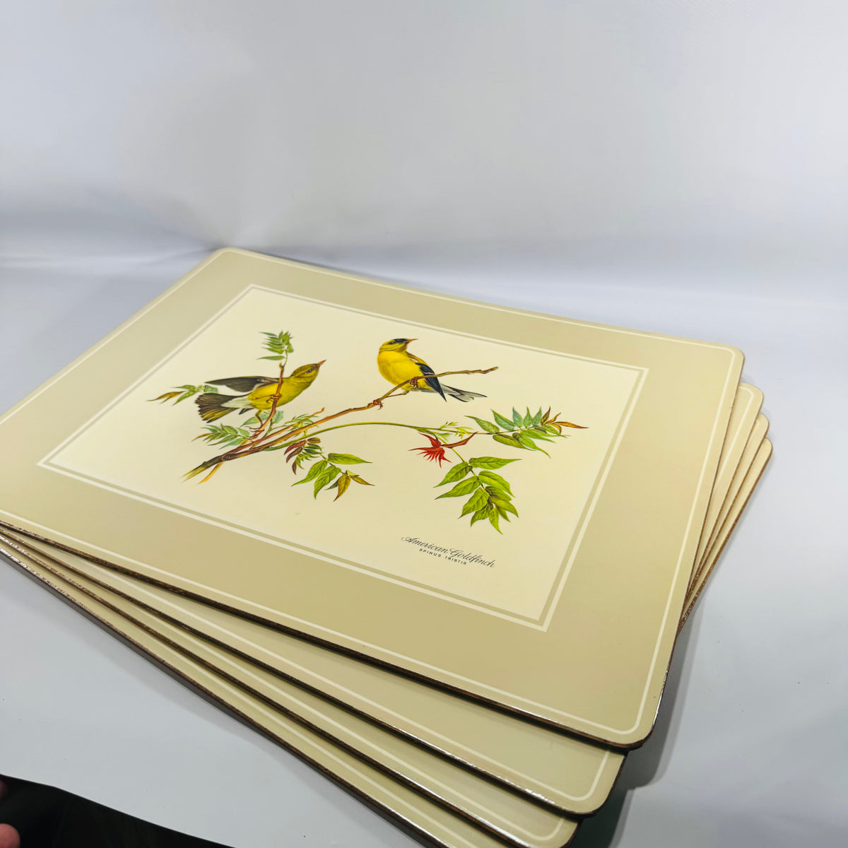Vintage Pimpernel Bird Placemats Set of 4 Cork Backed Songbird Table Mats Made in England