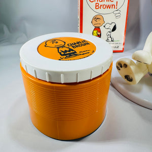 Snoopy & Charlie Brown Vintage Fan Bundle (1960s–70s) – 1969 Thermos, 1969 Hong Kong Snoopy Toy, 1961 Paperback & Hallmark Stationery Giftable Set