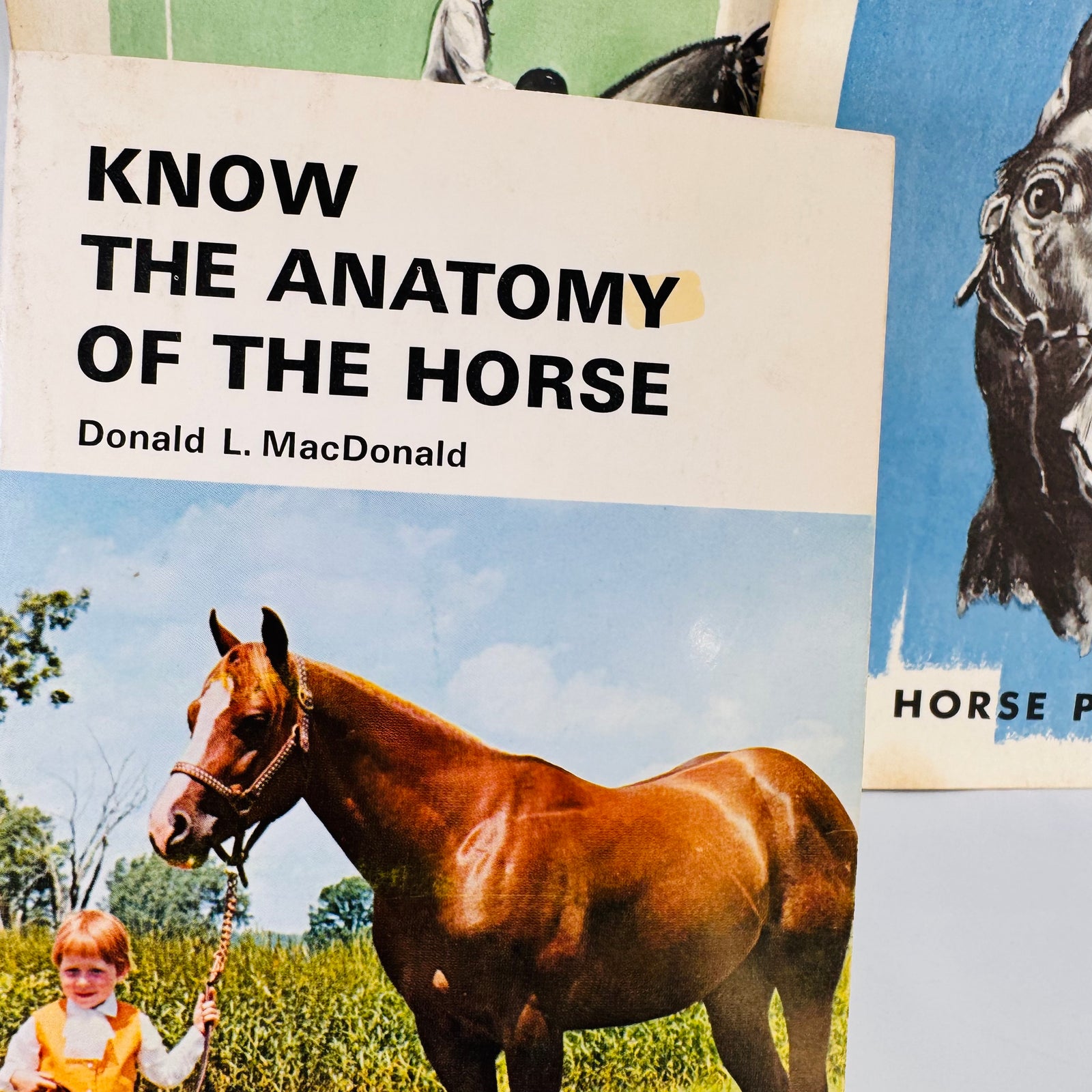Set of Three Vintage Horse Books – Equine Anatomy & 4-H Horse Program Guides