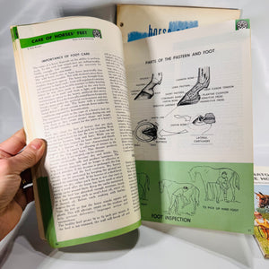 Set of Three Vintage Horse Books – Equine Anatomy & 4-H Horse Program Guides
